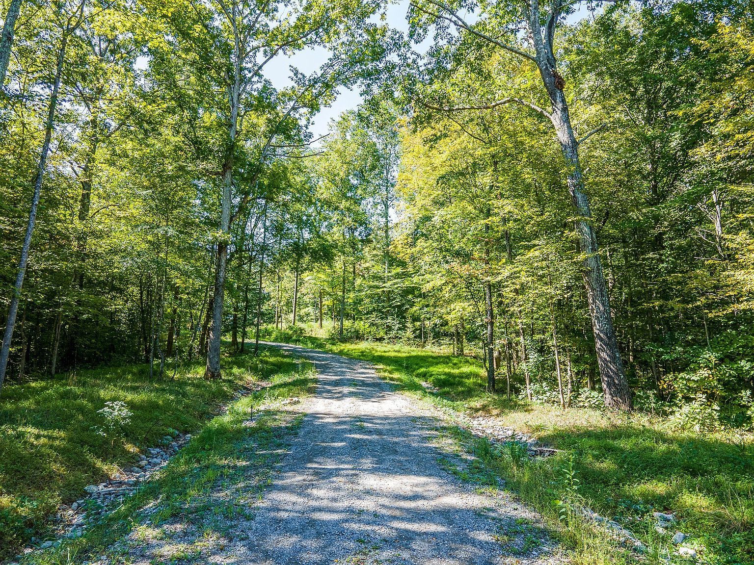 7483 Liberty Rd Fairview, TN 37062 - Thumbnail 2