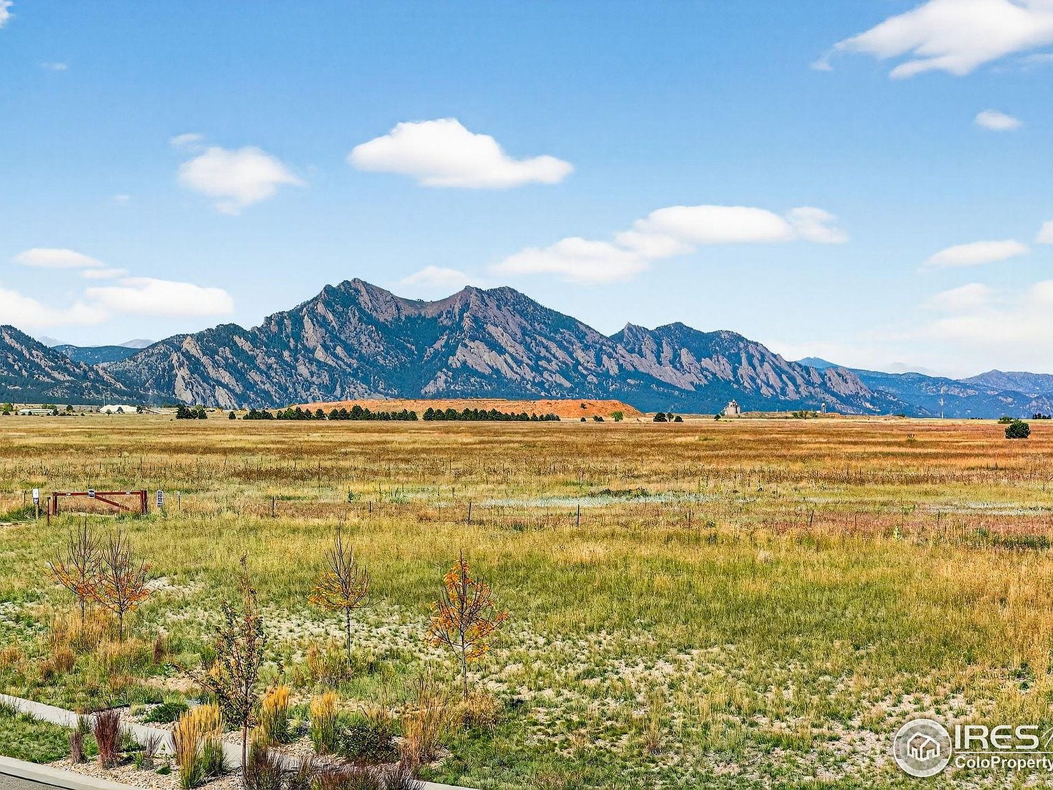 18422 W 95th Pl Arvada, CO 80007 - Thumbnail 2