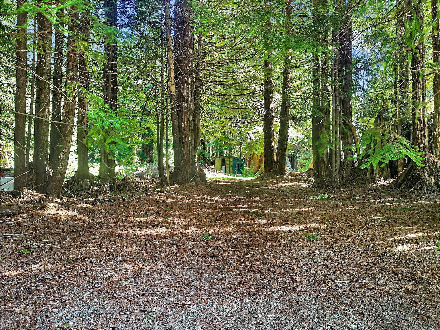 0 Cody Ln Crescent City, CA 95531  | Land/Lot