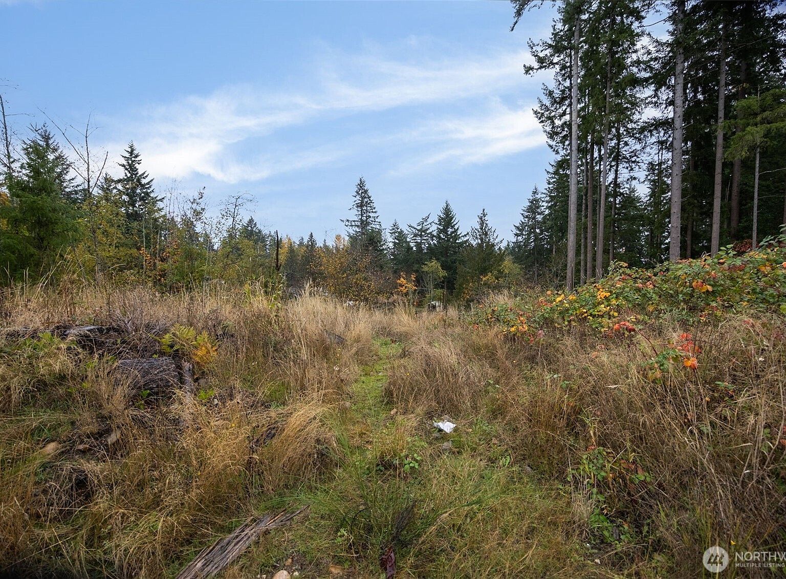 0 Xx 184th Ave E Bonney Lake, WA 98391 - Thumbnail 2