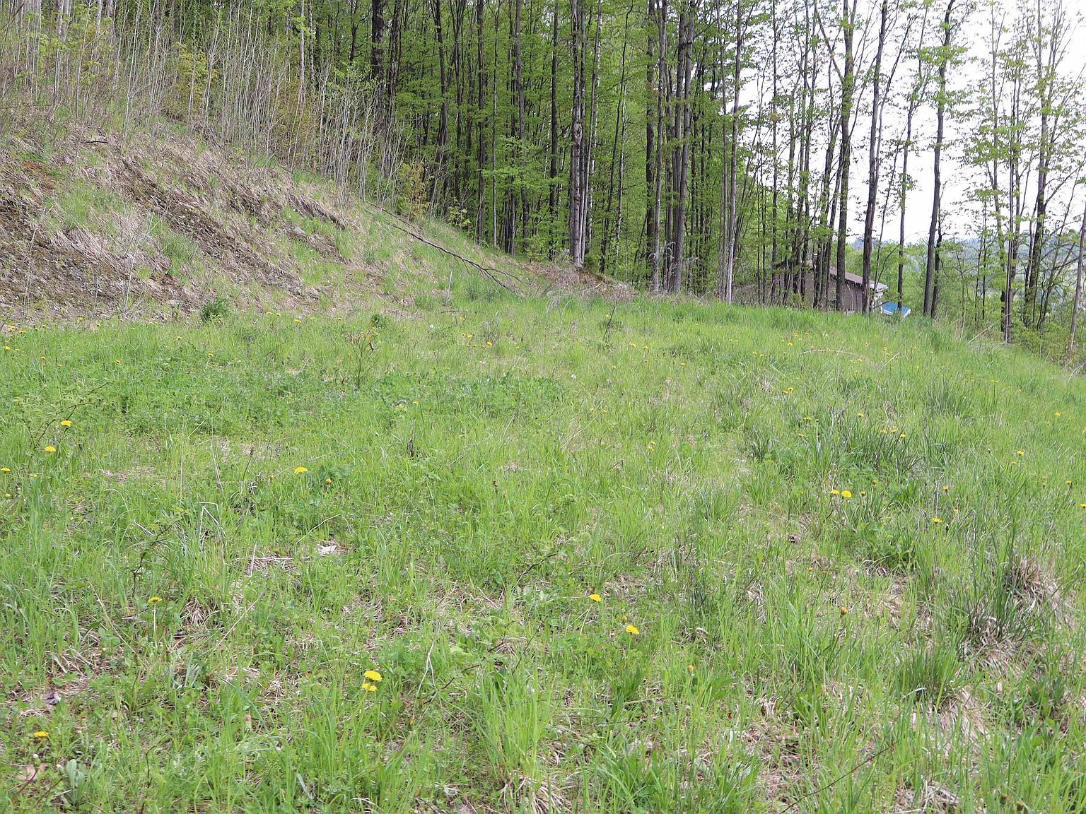 9 Maplewood Ave Lot 9 Barre, VT 05641  | Land/Lot