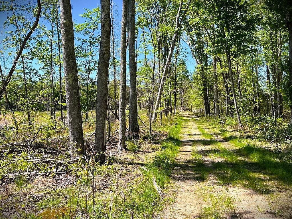 0 Hardscrabble Ln Cookeville, TN 38501 - Thumbnail 2