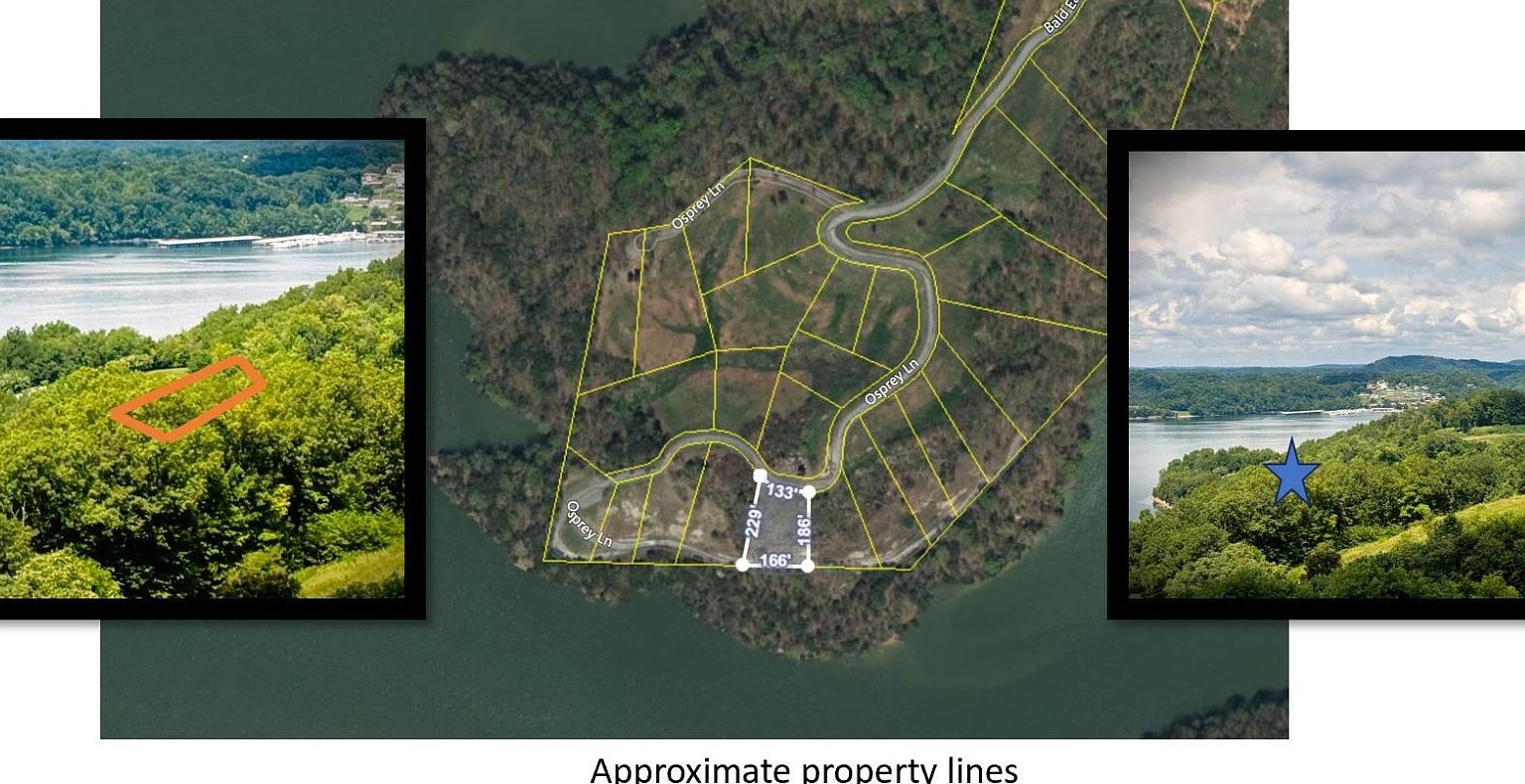 0 Bald Eagle Rd LOT 7D Hilham, TN 38568 - Thumbnail 2