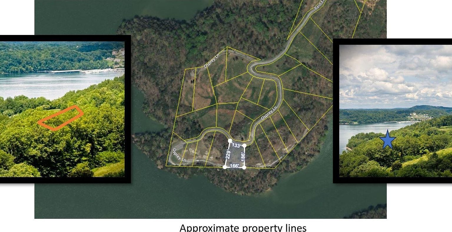 7 Bald Eagle Rd LOT 7D Hilham, TN 38568 - Thumbnail 2