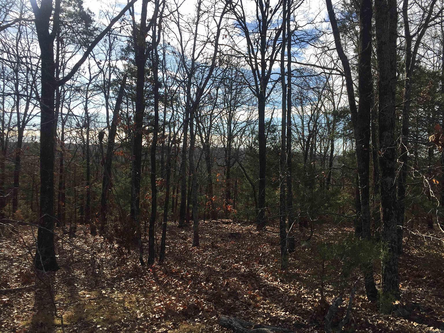 126 Jerry Ln LOT 5 Judsonia, AR 72081 - Thumbnail 2