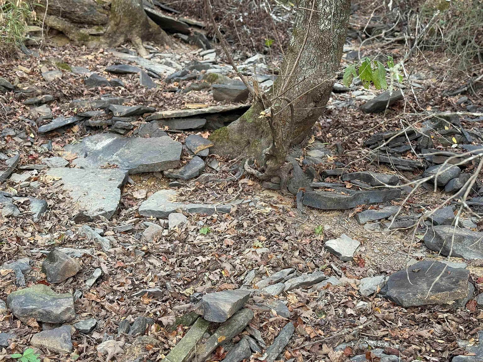 271 County Line Rd Rose Bud, AR 72137 - Thumbnail 2