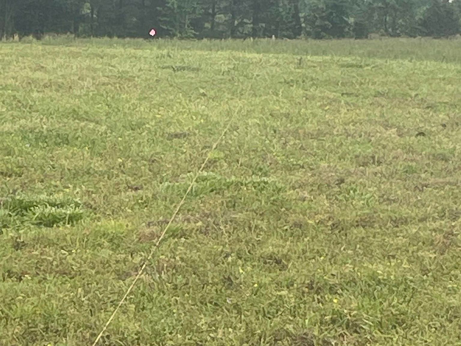 0 Cypress St Bradford, AR 72020 - Thumbnail 2