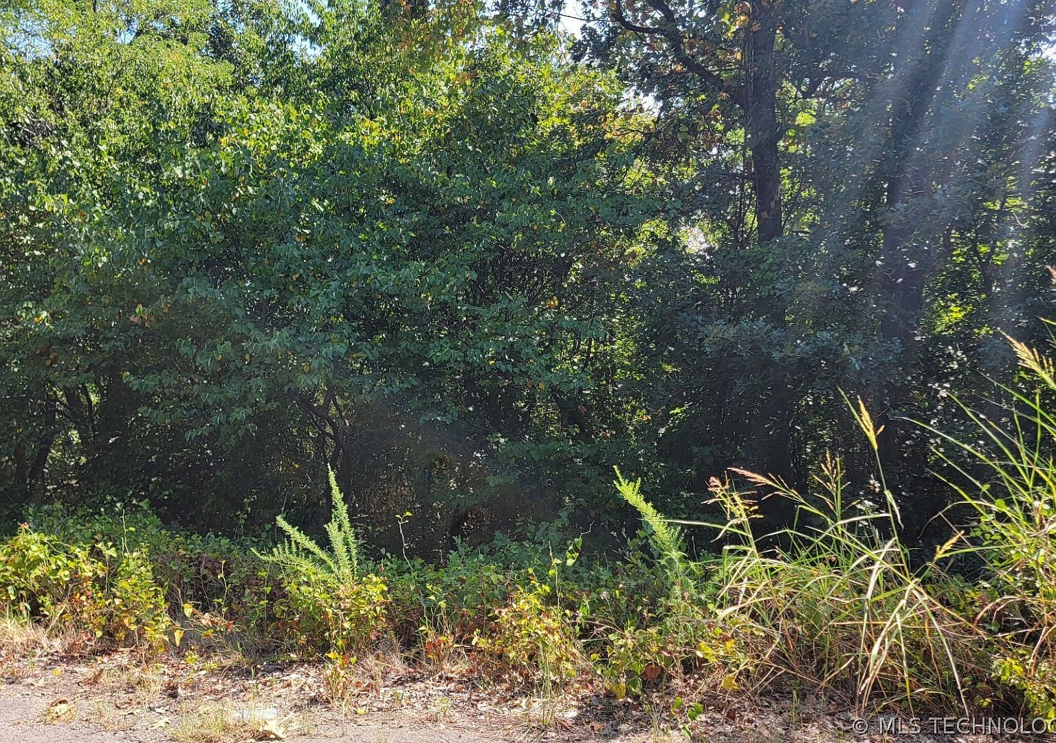 16 Brooken Mtn Stigler, OK 74462 - Thumbnail 2