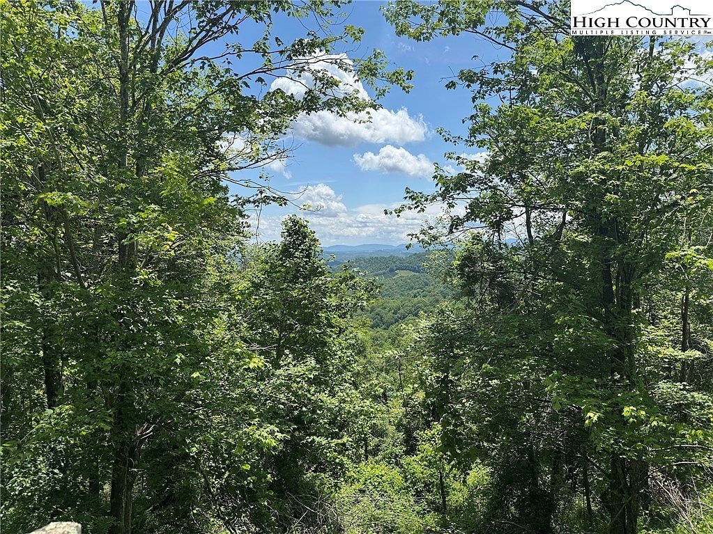 Tbd LOT 1 Mouth Of Wilson, VA 24363 - Thumbnail 2