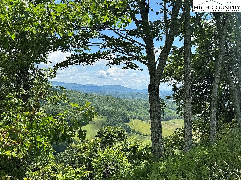 4 Mayito Ln Mouth Of Wilson, VA 24363 - Thumbnail 2