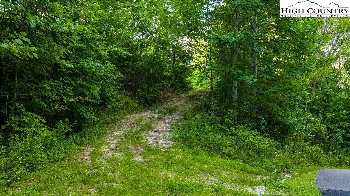 6 Big Laurel Rd Creston, NC 28615 - Thumbnail 2