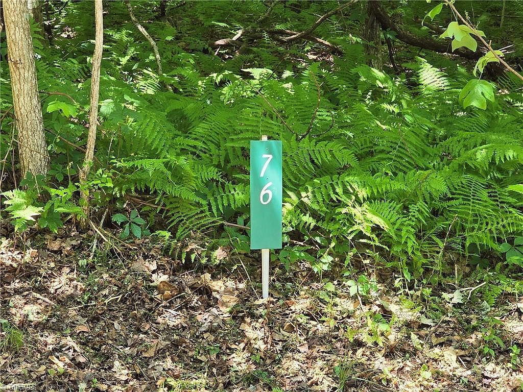 76 White Tail Trl LOT 76 West Jefferson, NC 28694 - Thumbnail 2