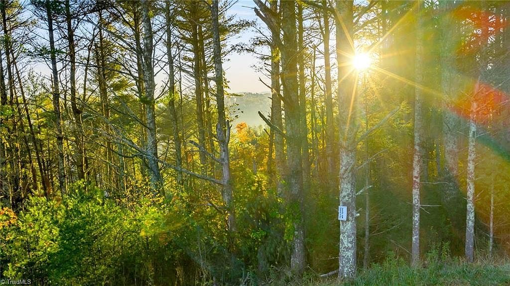 19 Davis Acres Dr LOT 19 West Jefferson, NC 28694 - Thumbnail 2