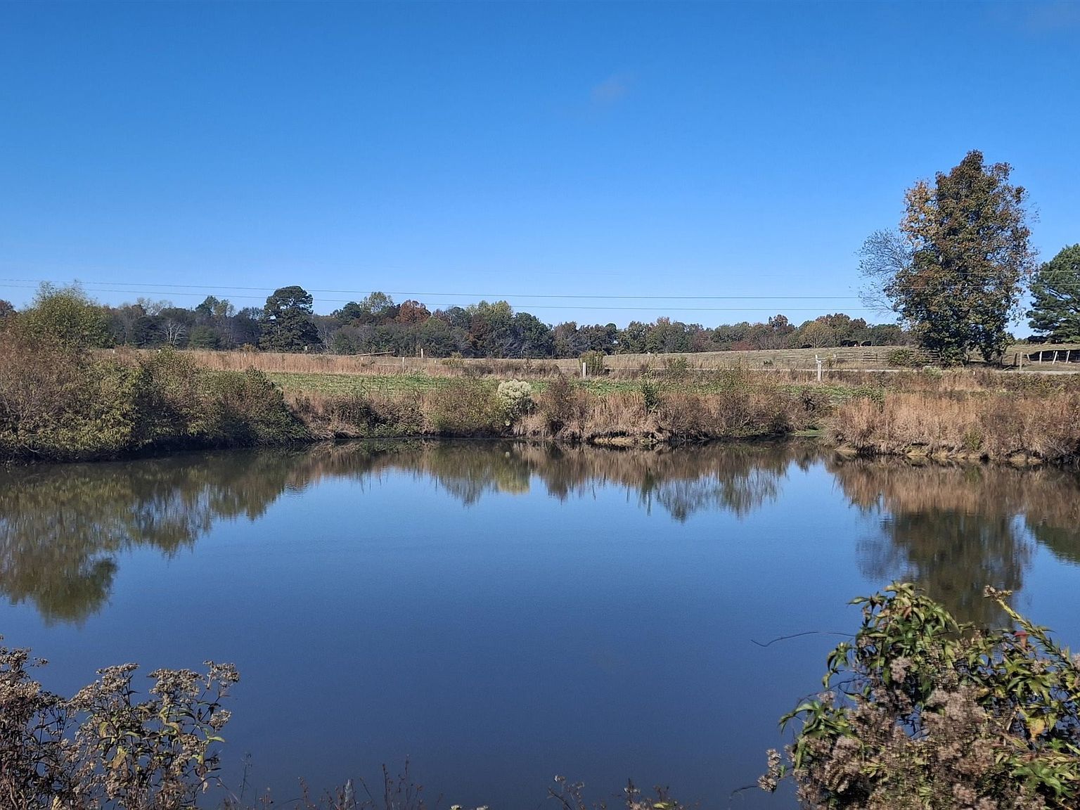 160 Little Egypt Rd Tuscumbia, AL 35674 - Thumbnail 2