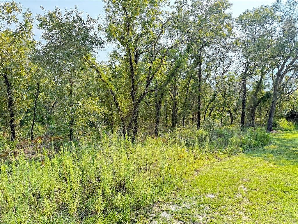 11096 Marsh Wren Ave LOT 7 Brooksville, FL 34614 - Thumbnail 2