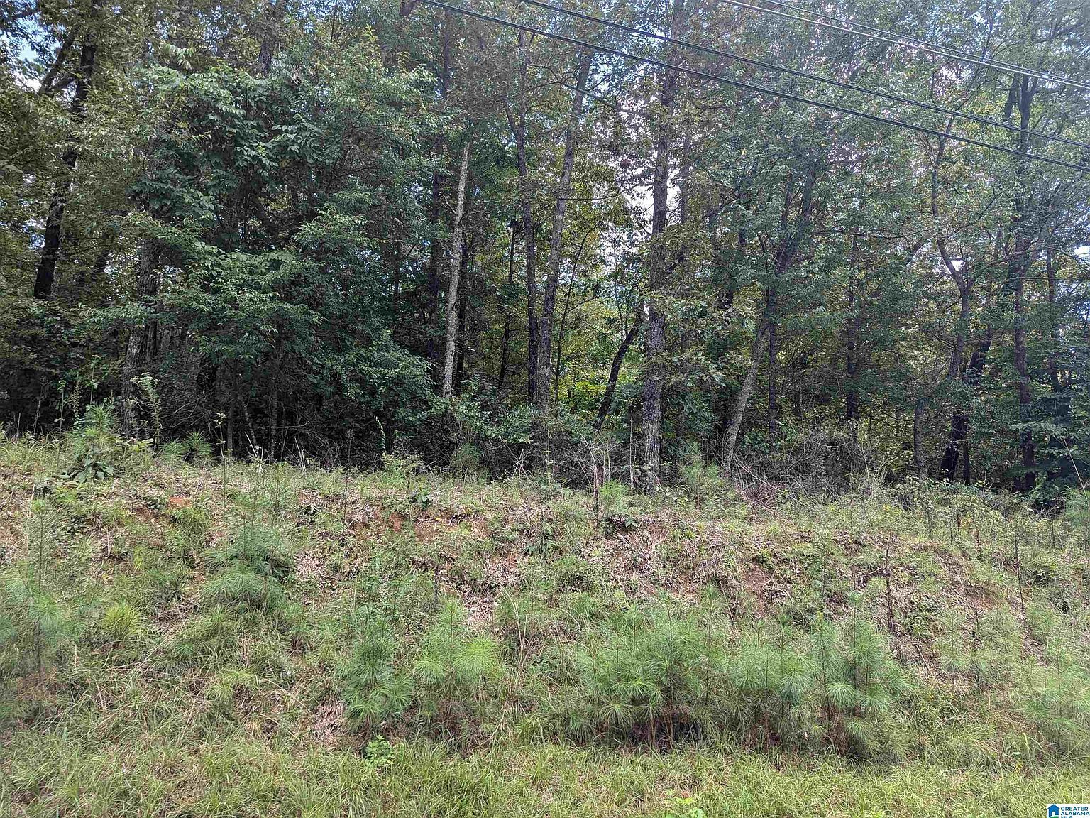 0 Jones Rd Lot 1 Anniston, AL 36207 - Thumbnail 2
