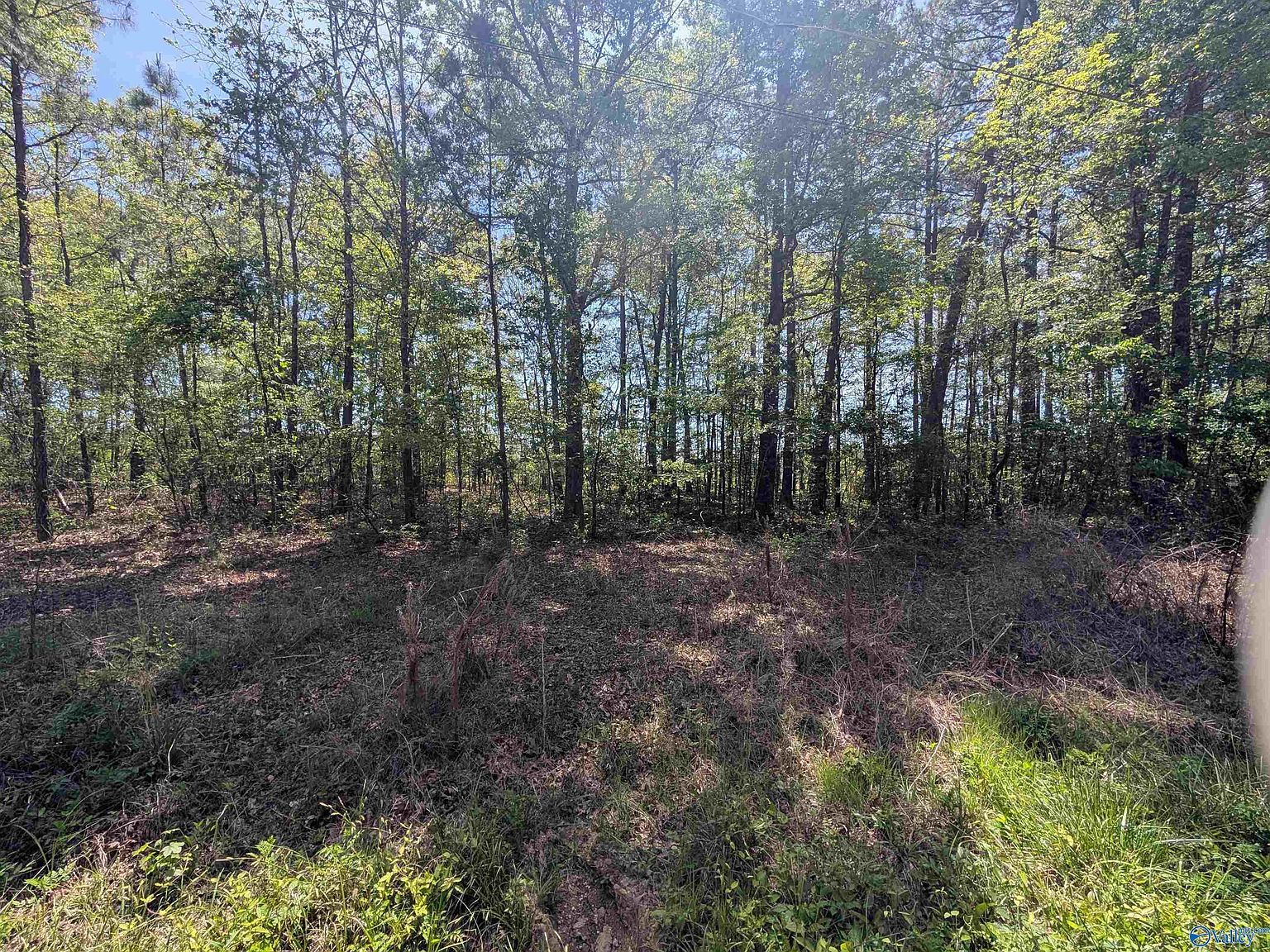 11 Paradise Ave Gadsden, AL 35903  | Land/Lot