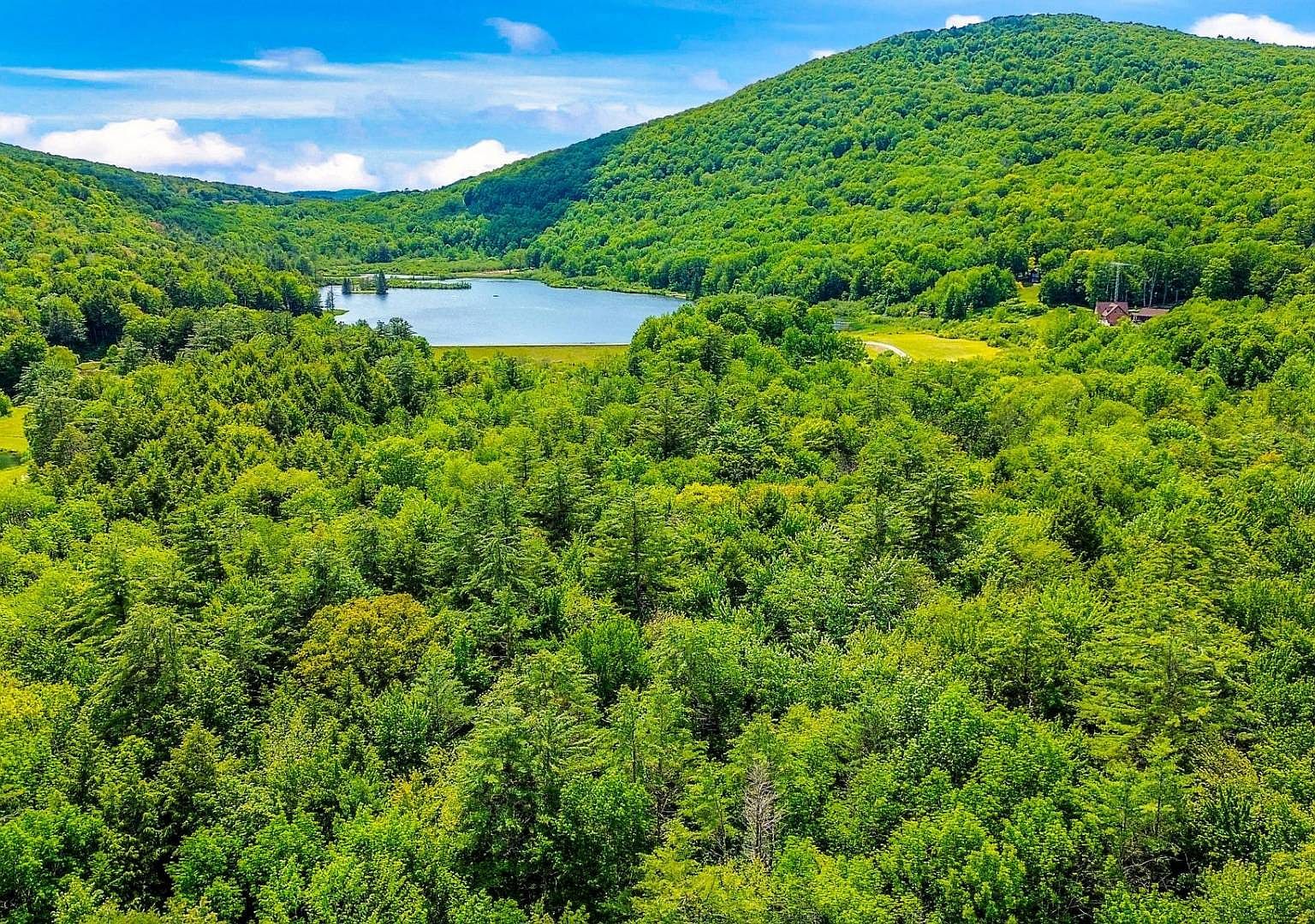 0 Deer Path Stamford, NY 12167 - Thumbnail 2