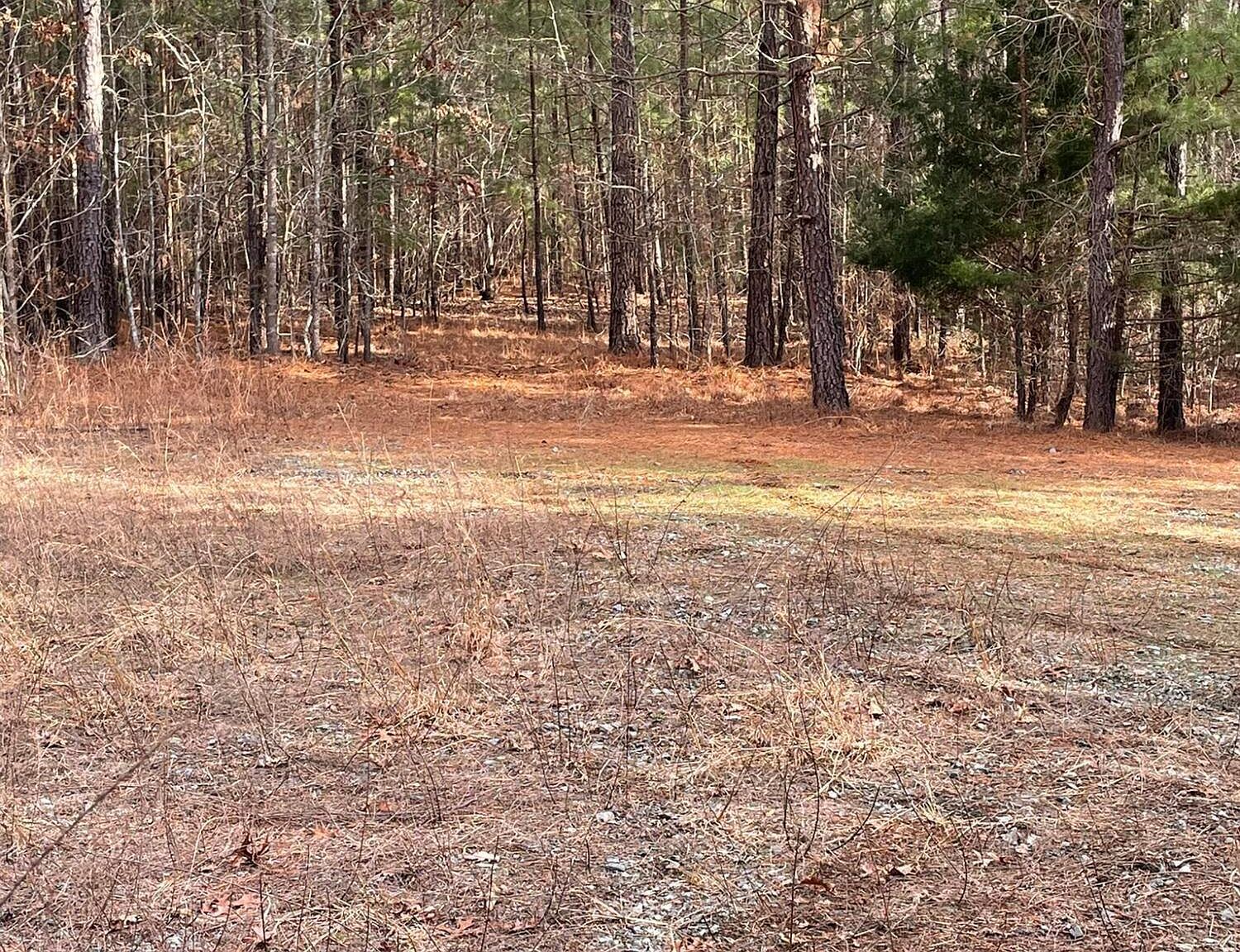 130 Eagles Rest Dr #10 Clarksville, VA 23927 - Thumbnail 2