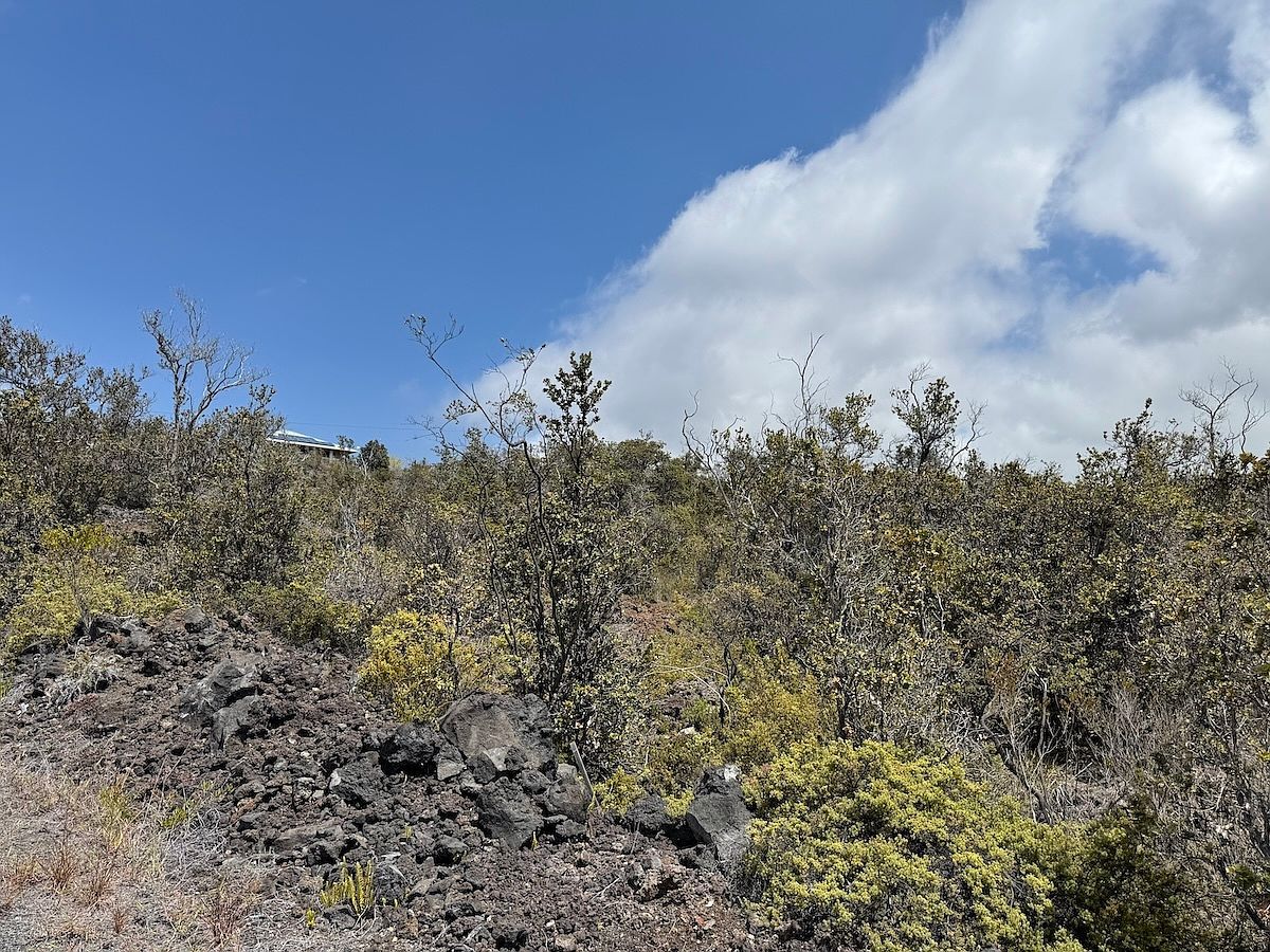 Plumeria Ln LOT 1 Captain Cook, HI 96704 - Thumbnail 2