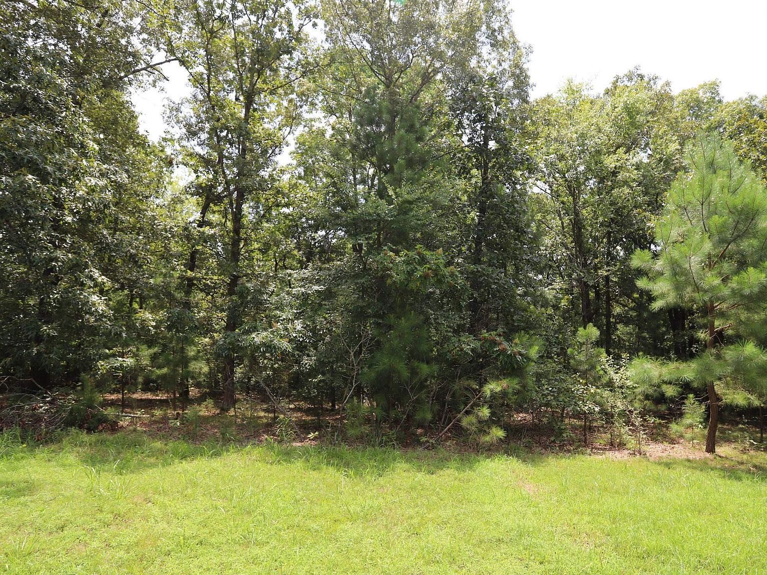 LOT 46 Waterfowl Rd Murray, KY 42071 - Thumbnail 2