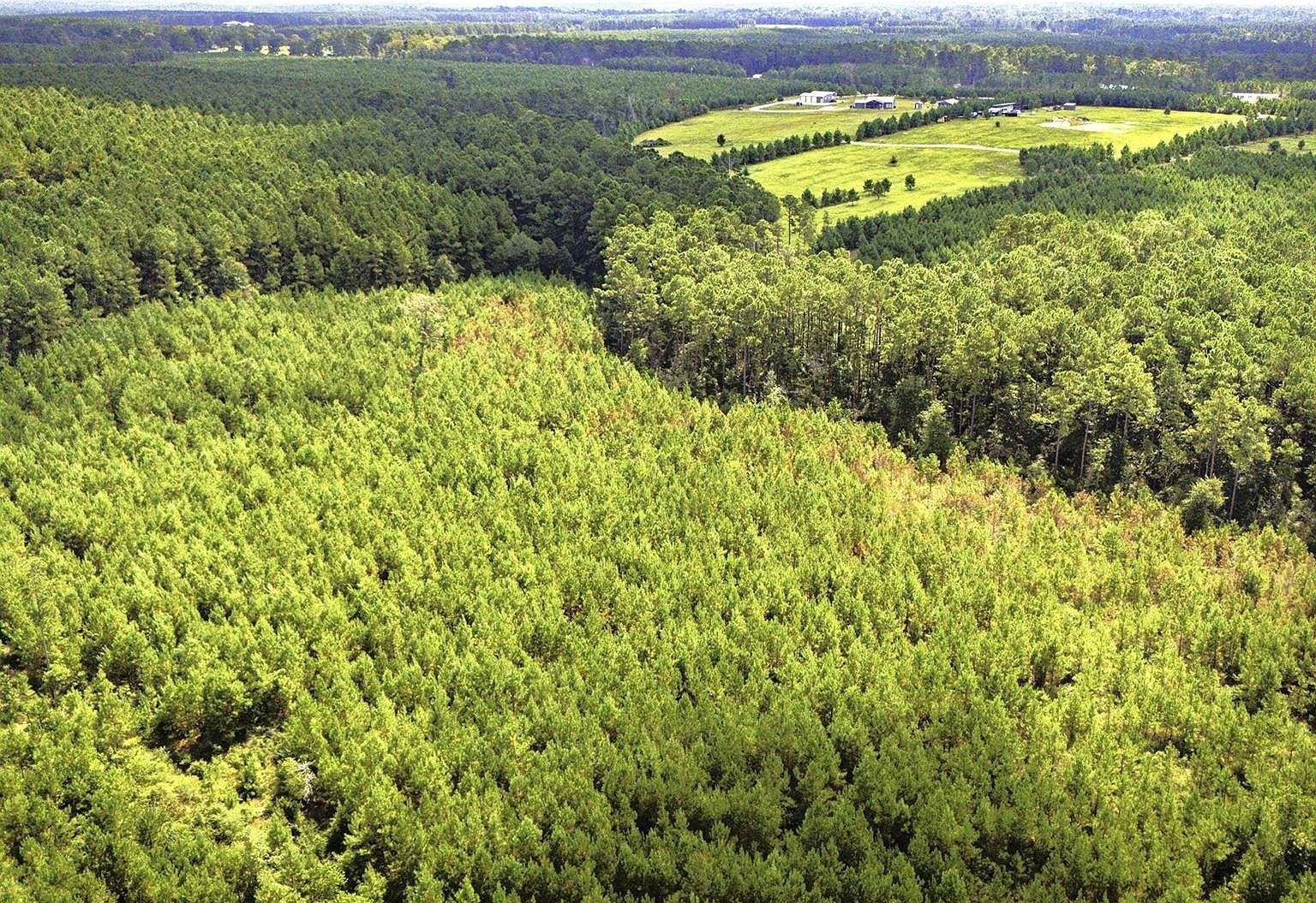 Stutts Livingston, TX 77351 - Thumbnail 2