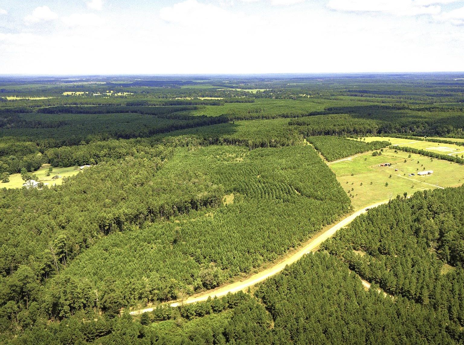 Stutts Hill Rd LOT 1 Livingston, TX 77351 - Thumbnail 2