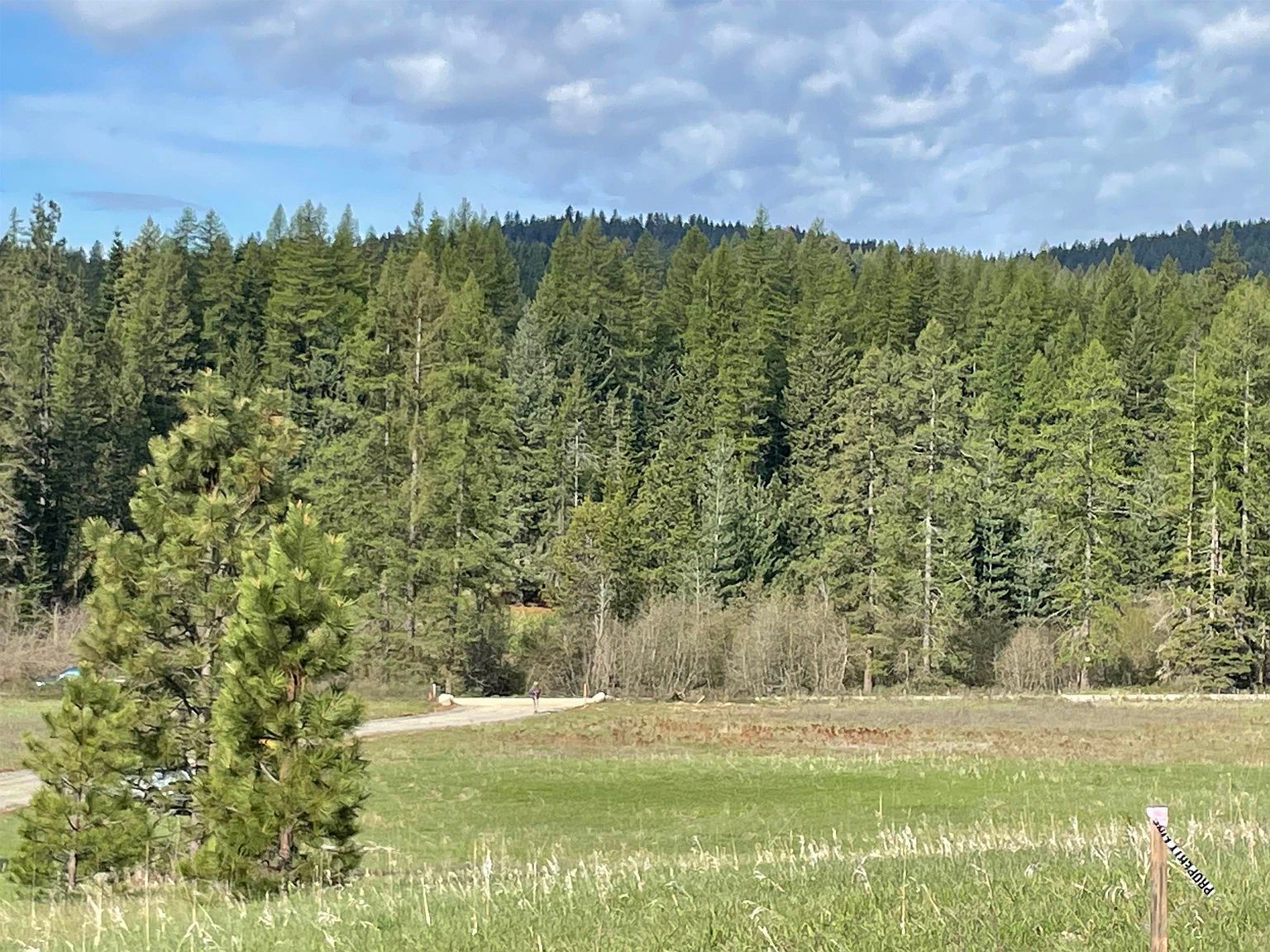 4435 Whittier Rd Lot 1 Clayton, WA 99110, 99110