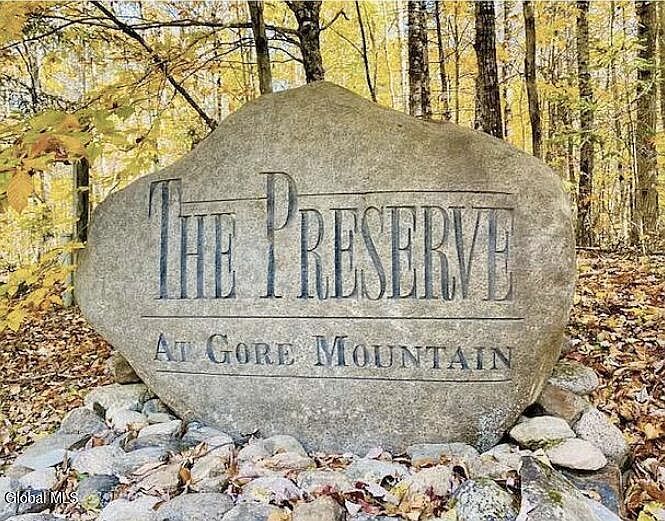 12 The Woods North Creek, NY 12853, 12853