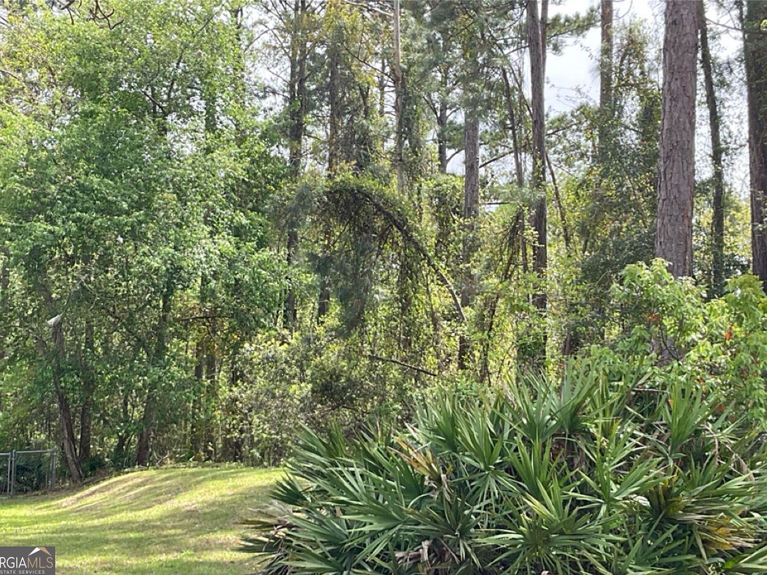 Sailfish Dr SE Darien, GA 31305 - Thumbnail 2