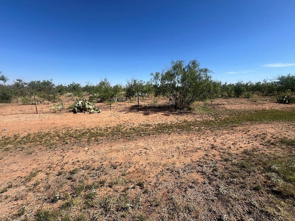 0 E Moss Lake Rd Big Spring, TX 79720 - Thumbnail 2