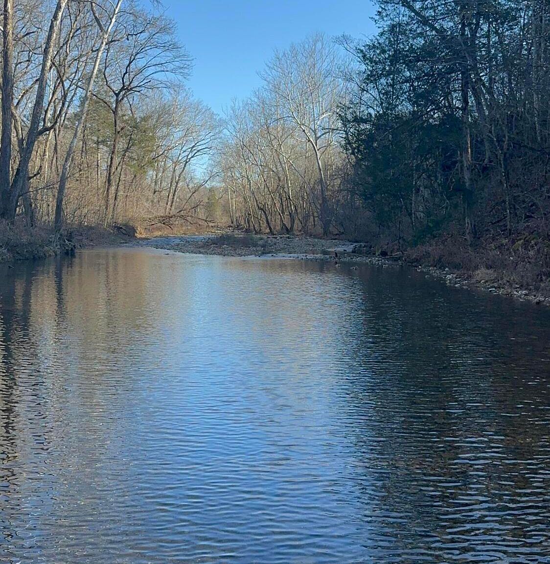 0 County Road 551 Bakersfield, MO 65609 - Thumbnail 2