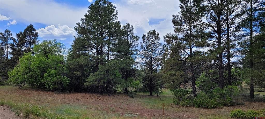 30 High Dr Pagosa Springs, CO 81147, 81147