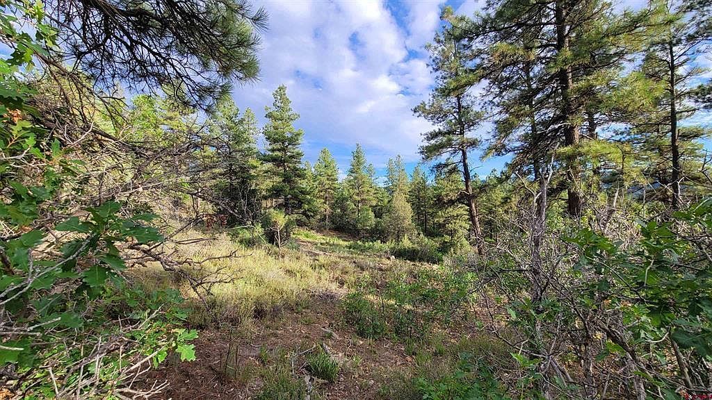814 Ginger Cir Pagosa Springs, CO 81147 | Land/Lot