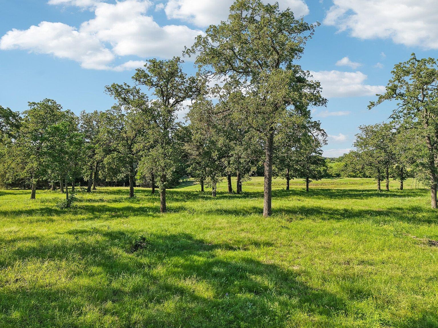 County Road 211 Giddings, TX 78942, 78942