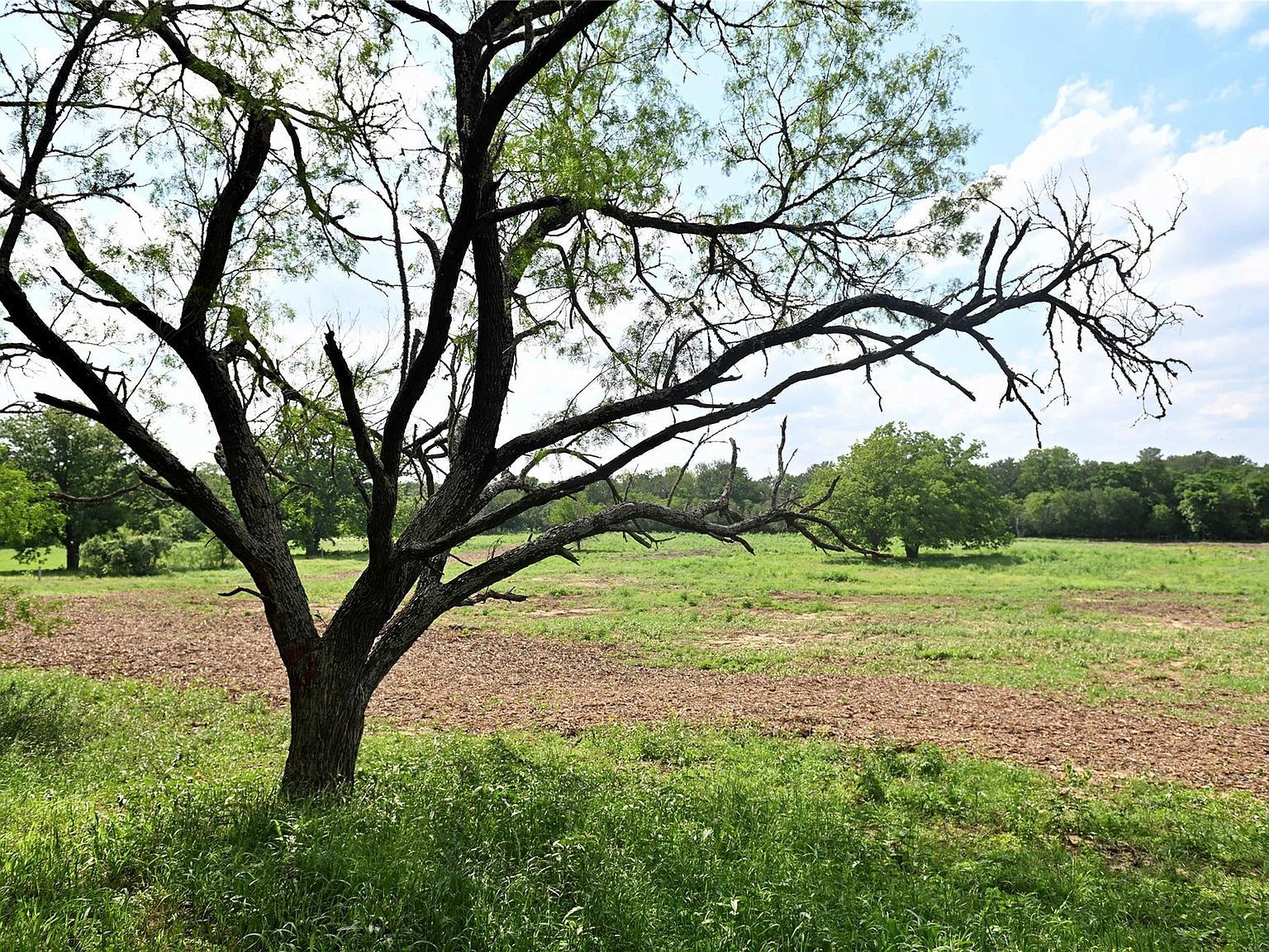 LOT 5 Valley Creek Dr Cedar Creek, TX 78612, 78612