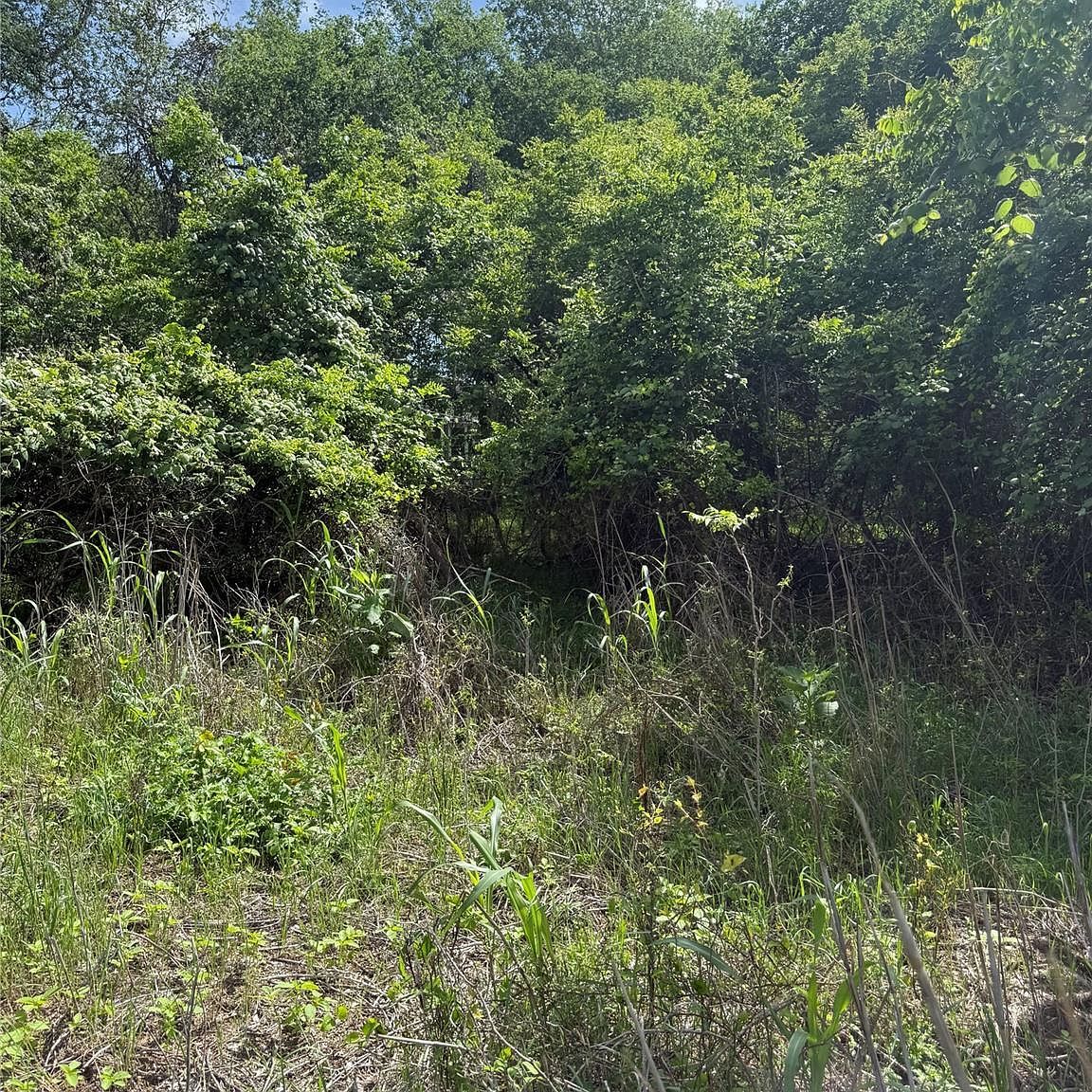 959 E Riverside Dr Bastrop, TX 78602, 78602