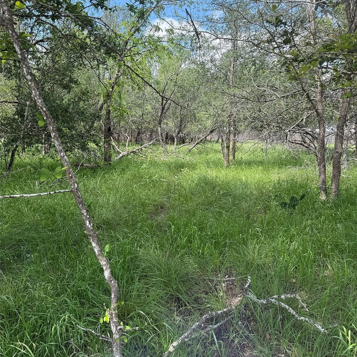LOT 200 Nene Ln Bastrop, TX 78602, 78602