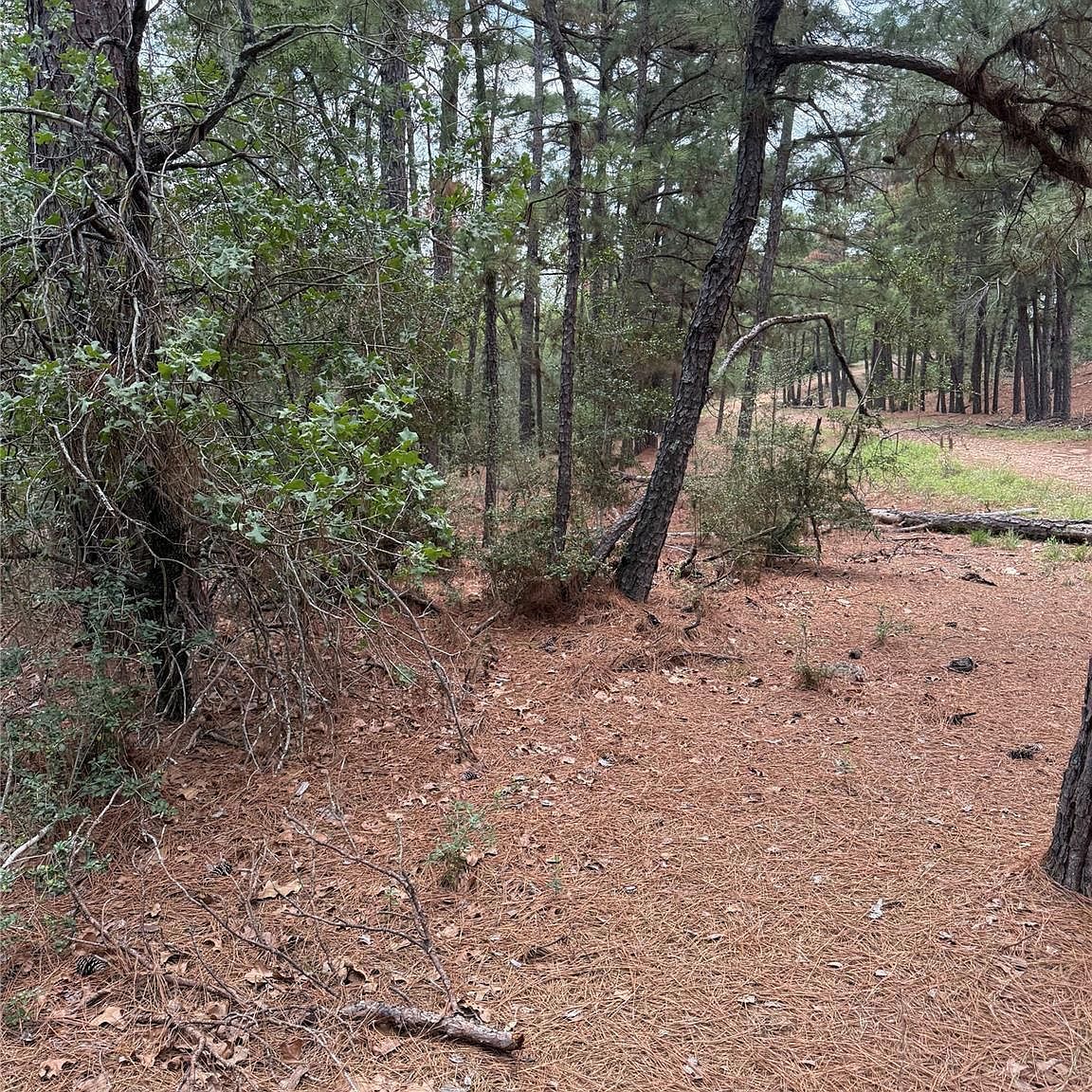 LOT 35 Tanglewood Dr Bastrop, TX 78602, 78602