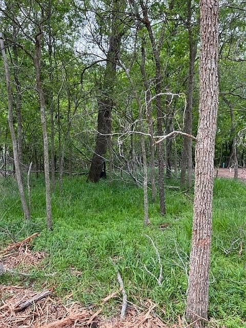 225 Kahana Ln Bastrop, TX 78602, 78602