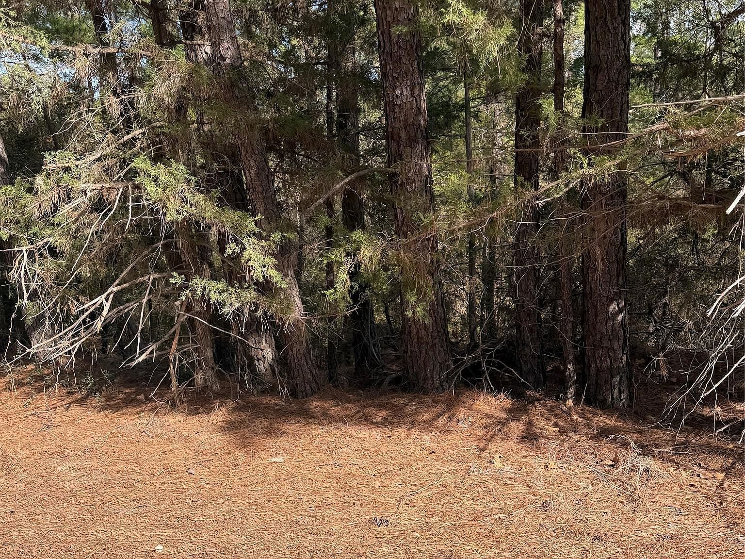 LOT 266 Wainee Dr Bastrop, TX 78602, 78602
