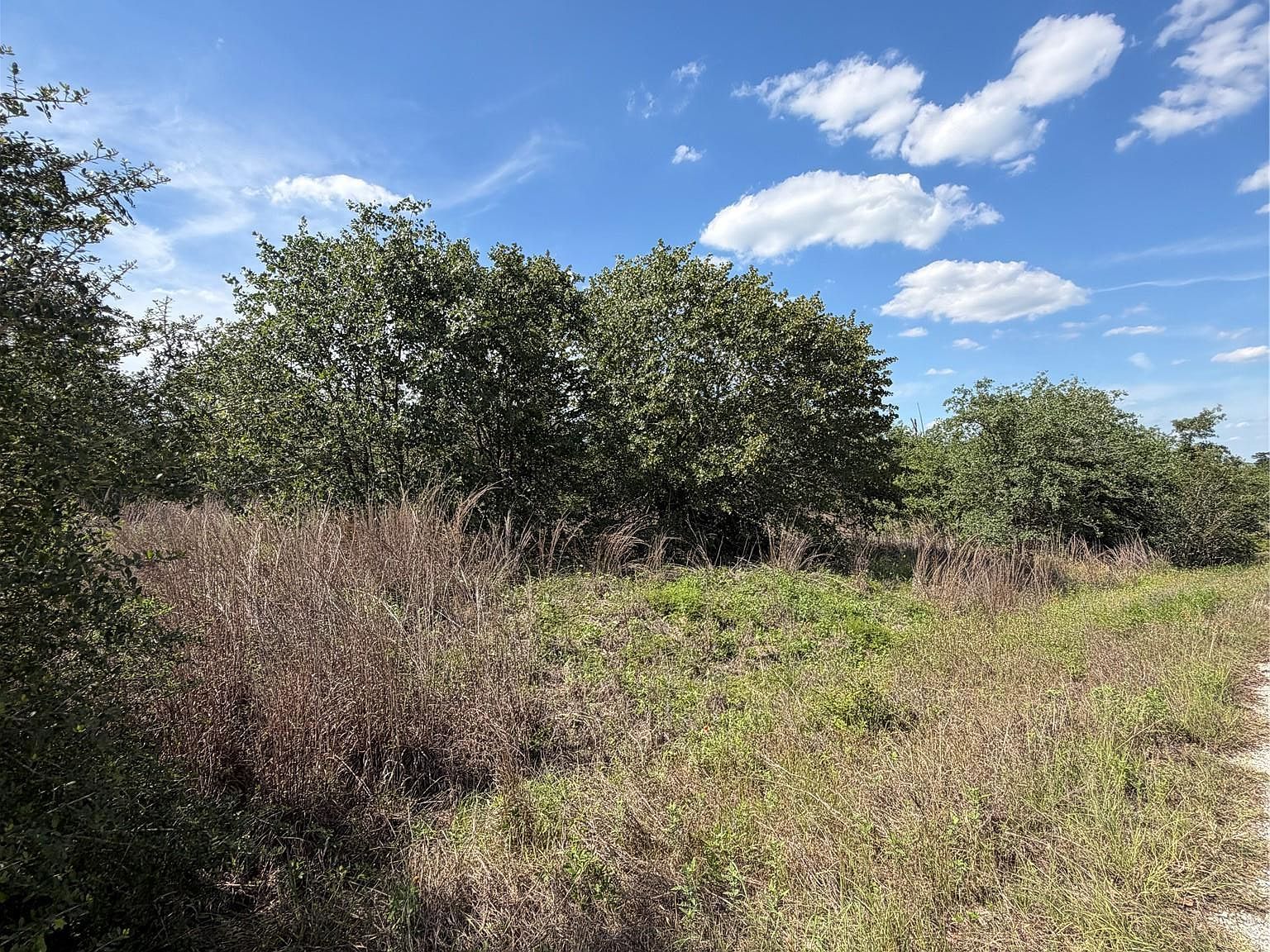N Mockingbird Ln Bastrop, TX 78602, 78602