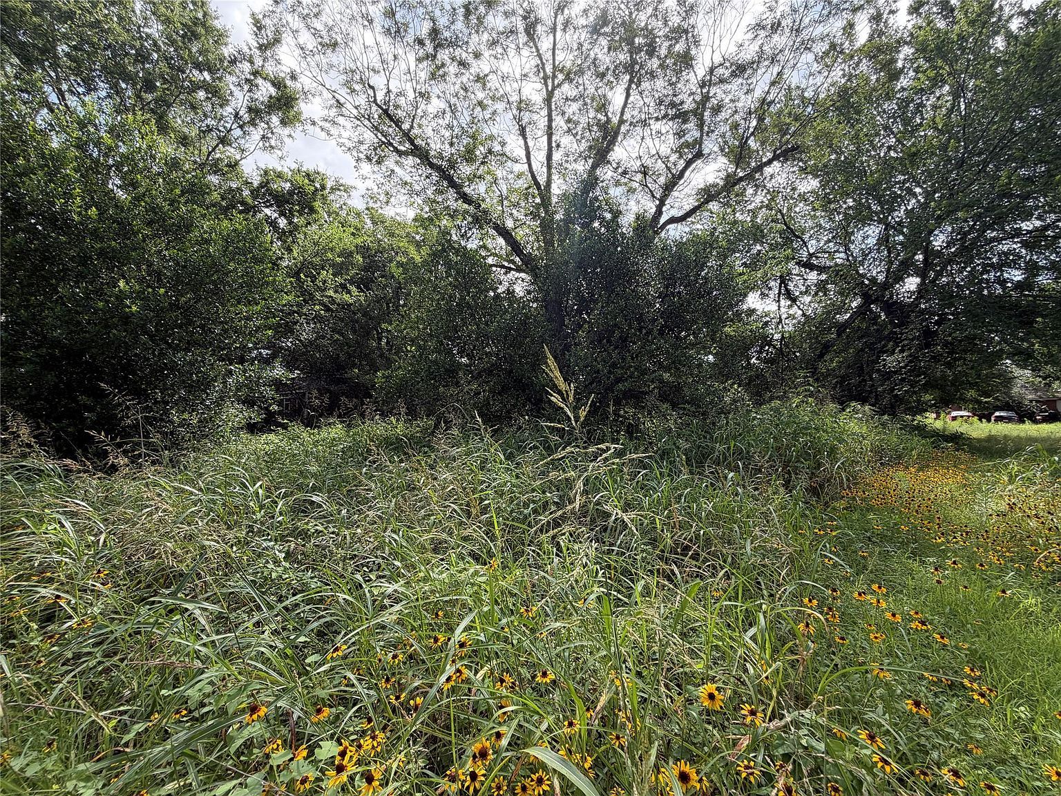 305 Ross St Smithville, TX 78957, 78957
