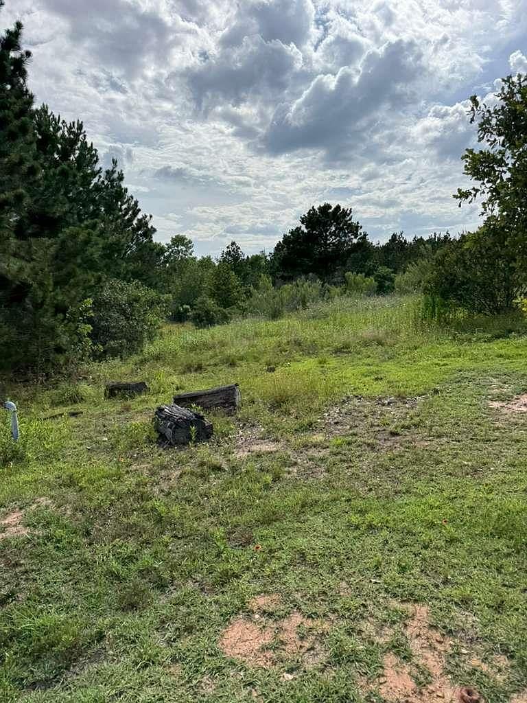 109 Pintail Ln Paige, TX 78659, 78659