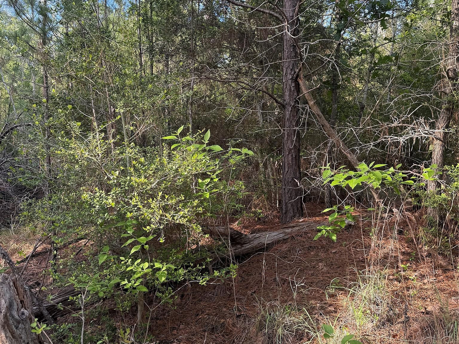 LOT 1384 S Pahihi Dr Bastrop, TX 78602, 78602