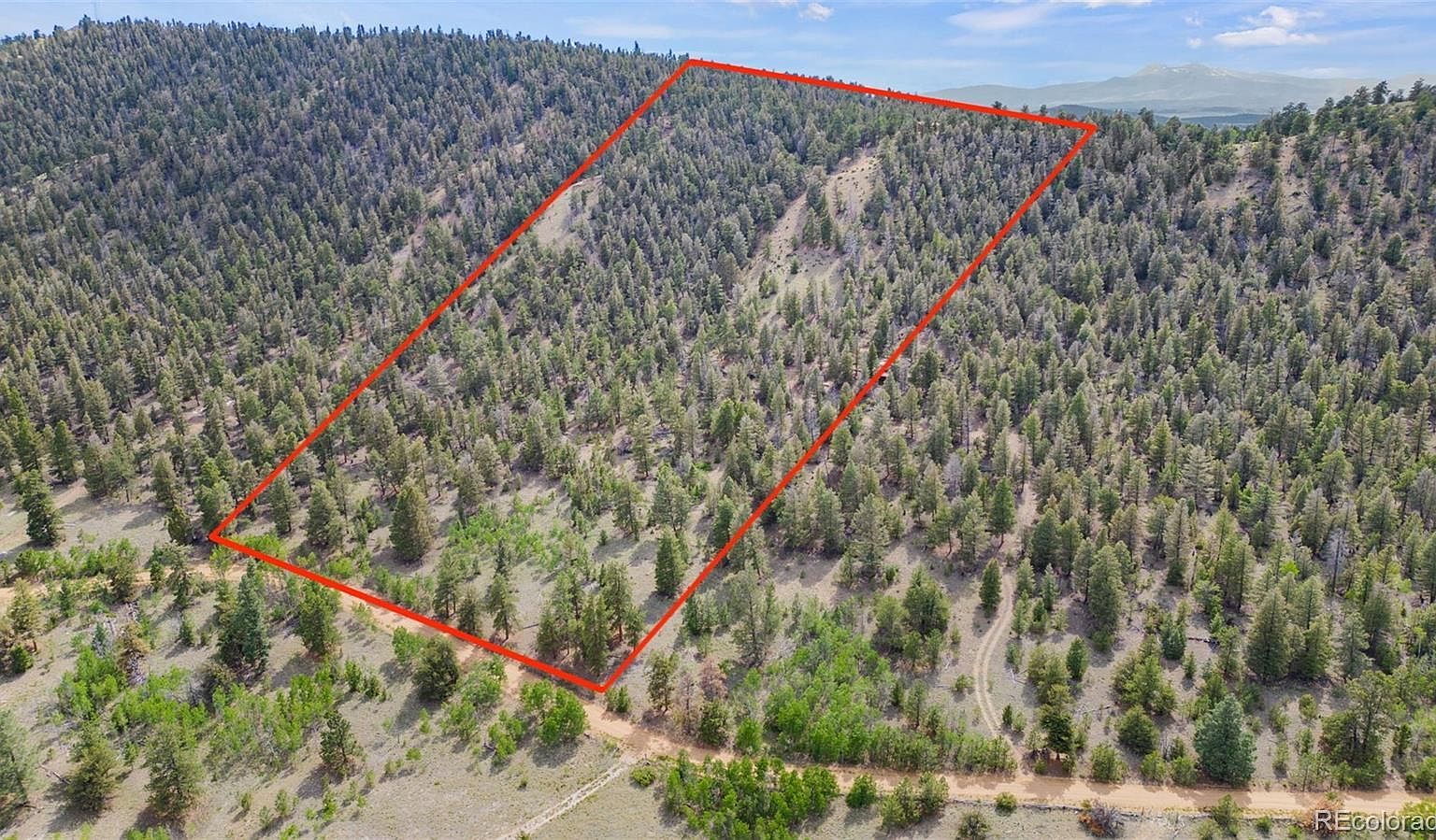 1833 Fitzsimmons Dr Hartsel, CO 80449 - Thumbnail 2