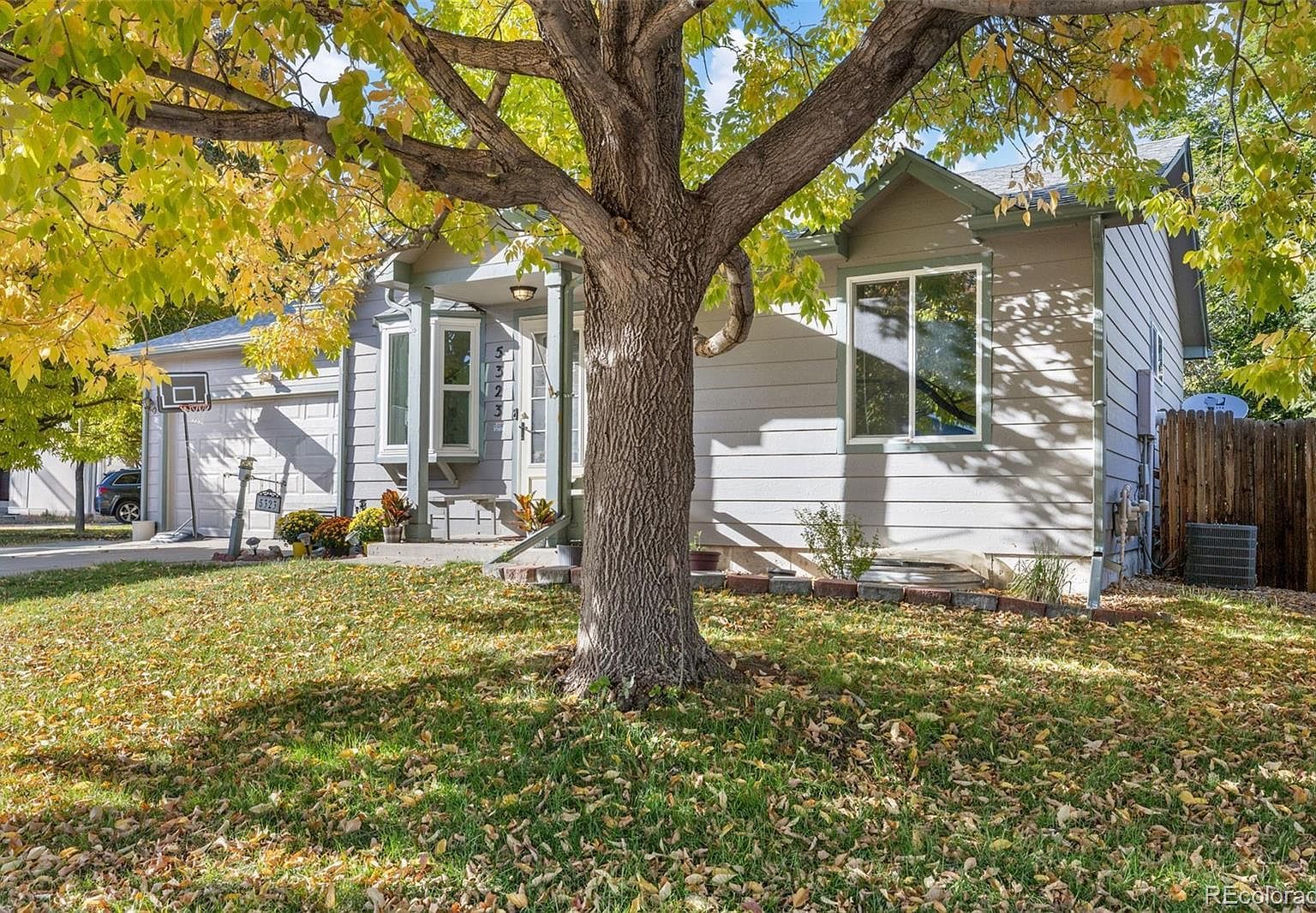 5323 E Sandpiper Ave Castle Rock, CO 80104 - Thumbnail 2