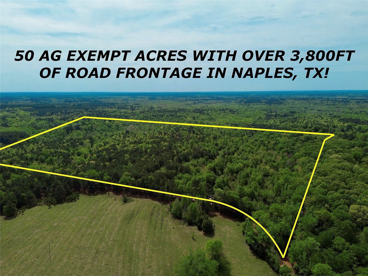 0 County Road 2742 Naples, TX 75568 - Thumbnail 2