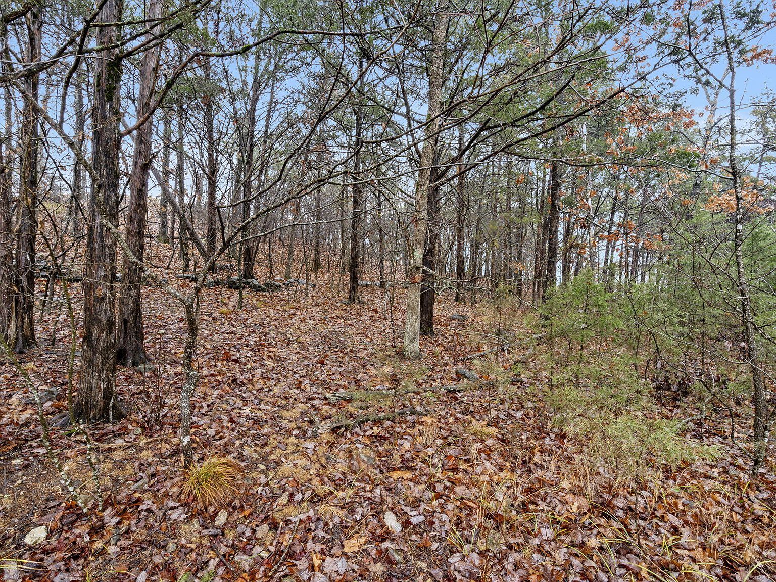 LOT 24 Spring Ct Branson, MO 65616 - Thumbnail 2