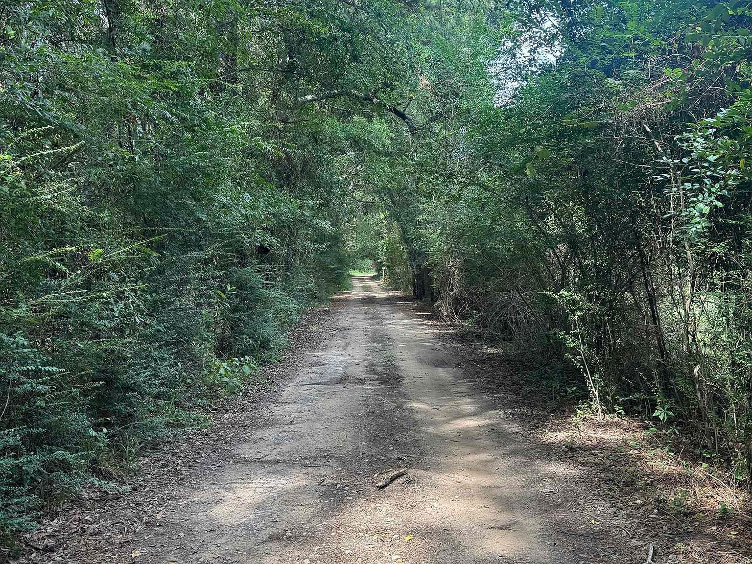 1745 Fm 1252 W, Kilgore, TX, 75662 - Thumbnail 2